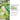 GLP-1 Support Chews with White Mulberry Extract