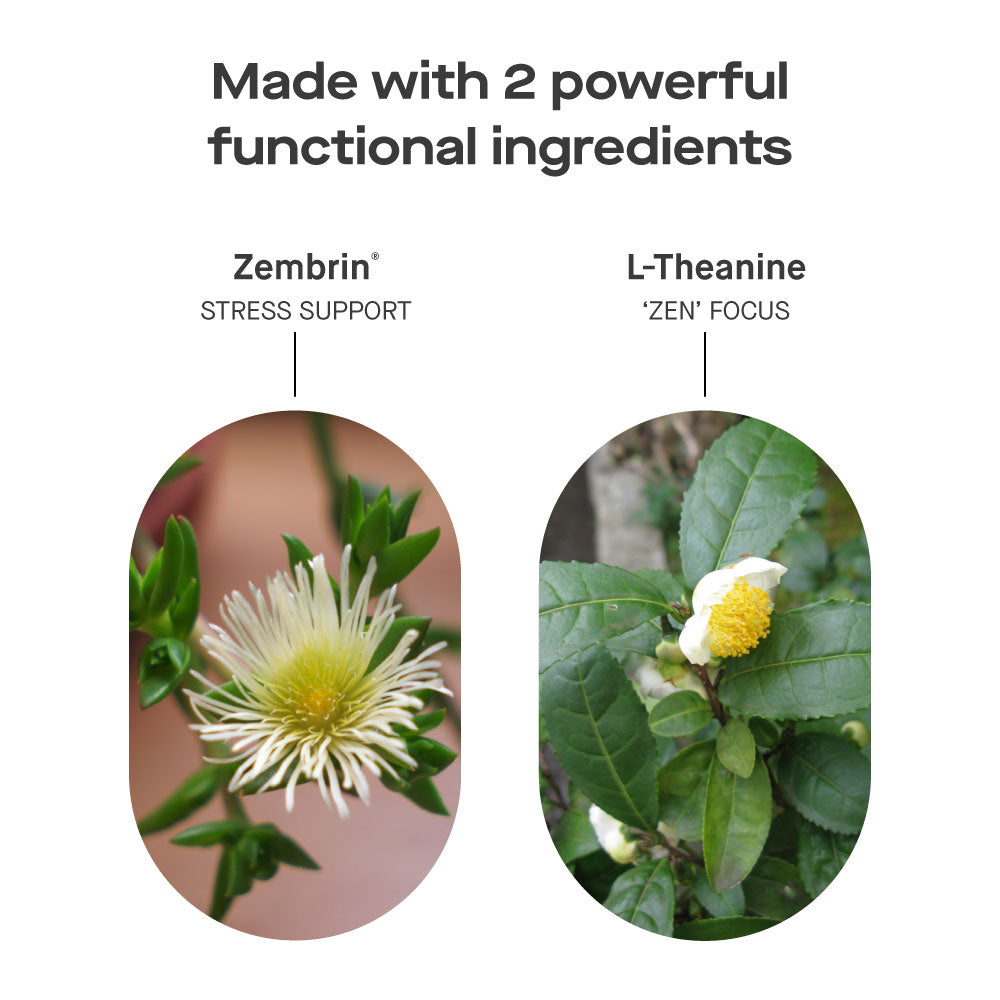 Ananda Stress Shot | Zembrin (kanna) + L-theanine | (4pk)